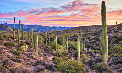 Photo of Desert Hills, AZ