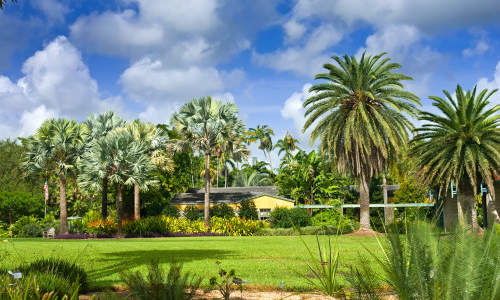 Photo of Miami Gardens, FL
