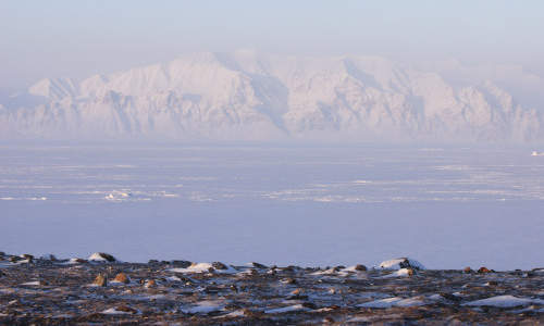 Photo of Arctic Bay, NU