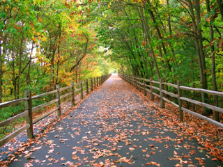 United States photos