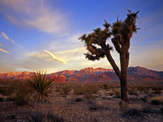 United States photos