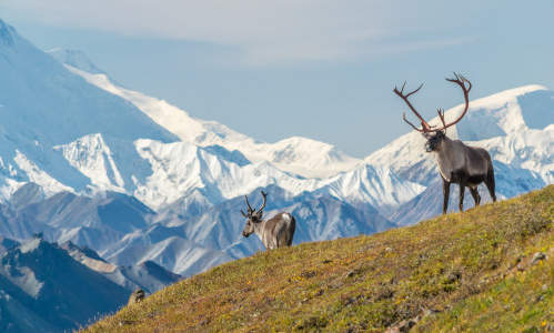 Photo of Kotlik, AK