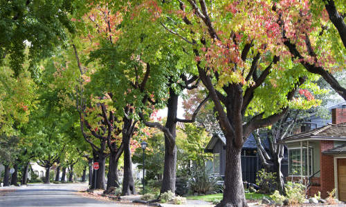 Photo of Alameda, CA