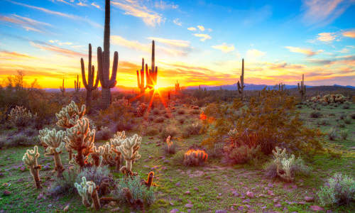 Photo of Fortuna Foothills, AZ