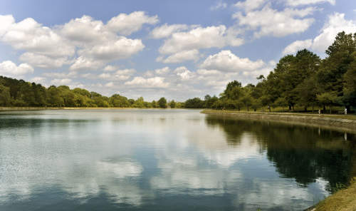 Photo of Brookline, MA