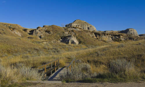 Photo of Brooks, AB