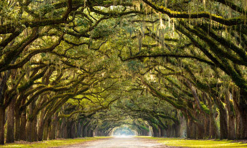 Photo of Stone Mountain, GA