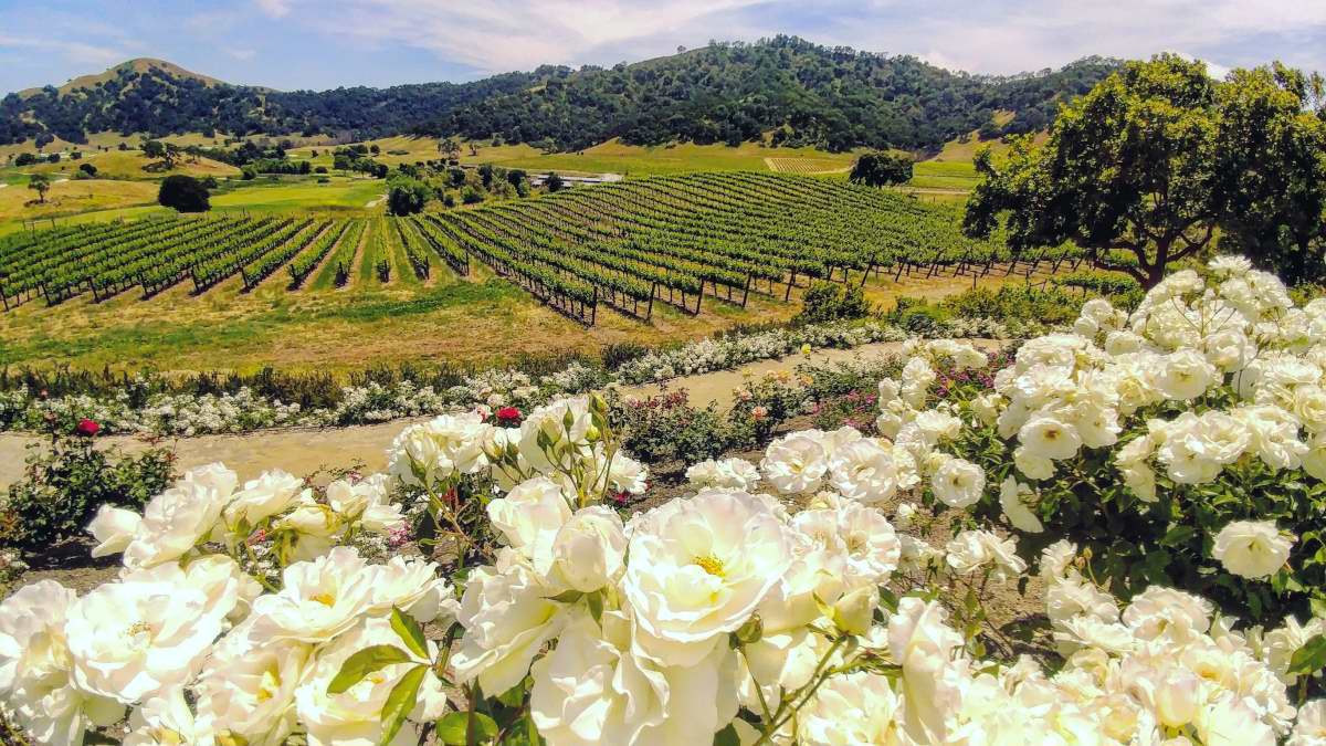 living-in-gilroy-ca-gilroy-livability
