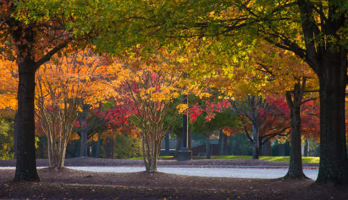 Photo of Greenville, NC