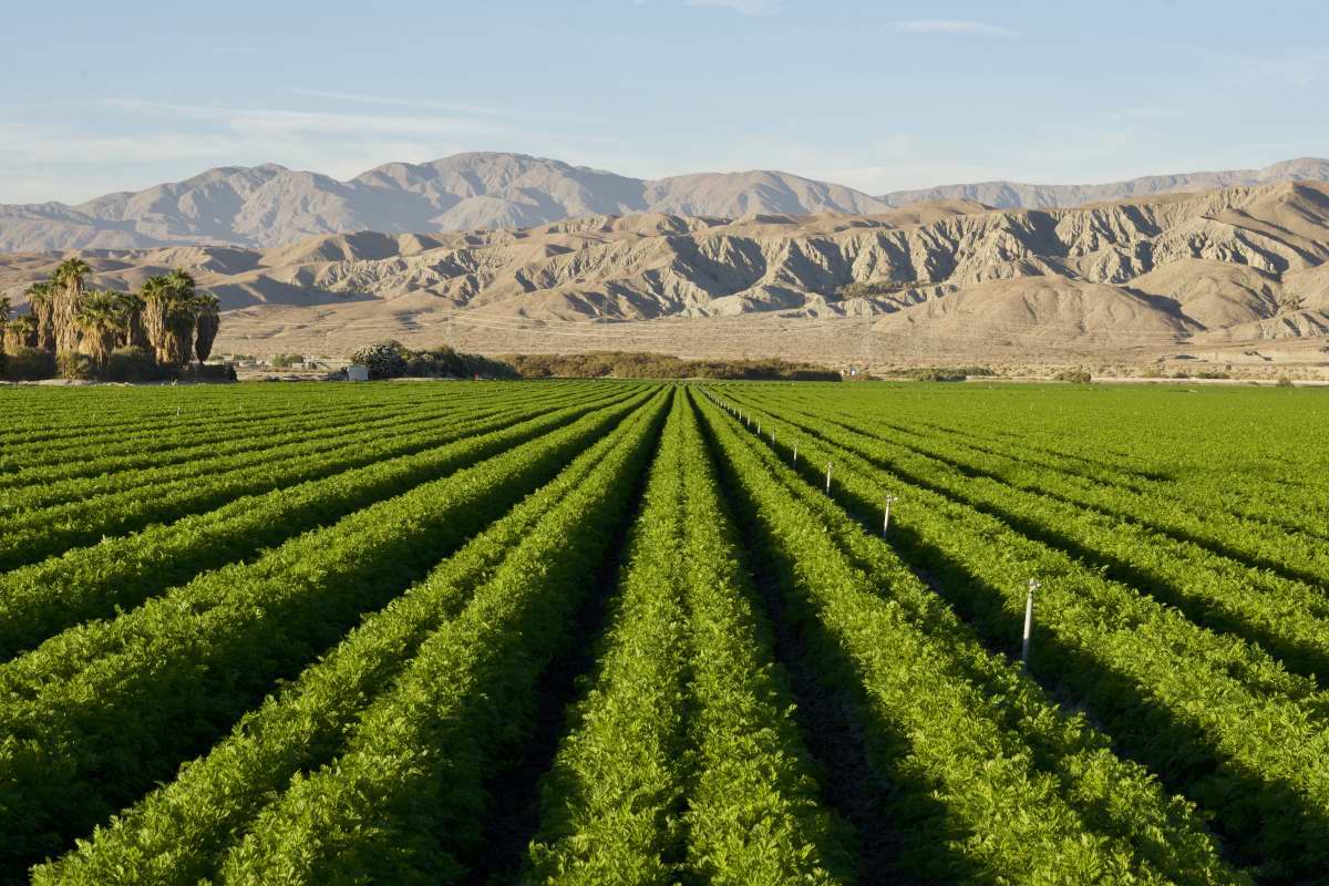 Living In Indio, CA Indio Livability