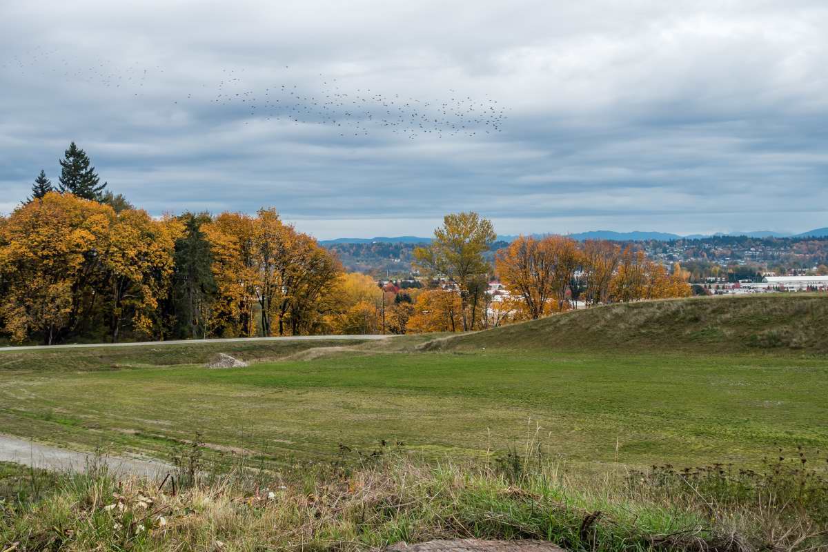 Living In Kent, WA Kent Livability