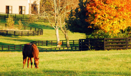 Photo of Cloverport, KY