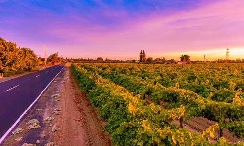 Photo of Lodi, CA