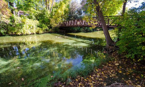 Photo of Maple Grove, MN