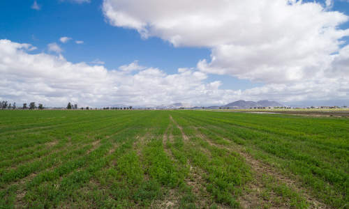 Photo of Menifee, CA