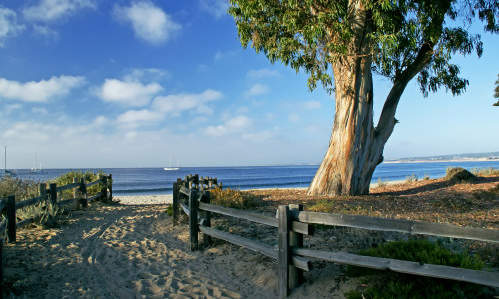 Photo of Monterey Park, CA