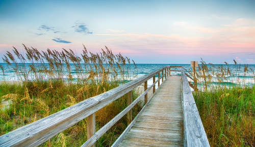 Photo of Blue Clay Farms, NC