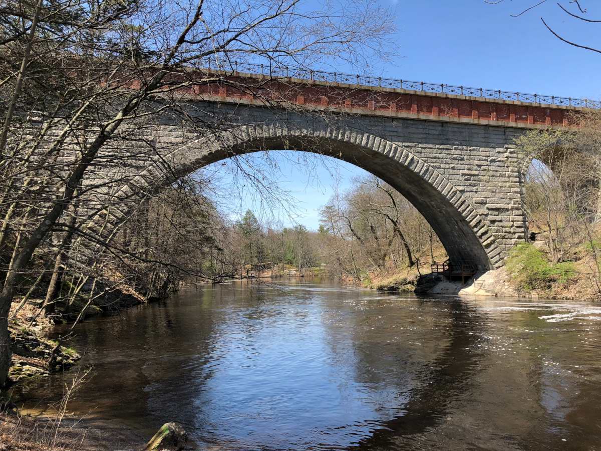 Newton Ma