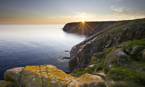 Photo of Gallants, NL