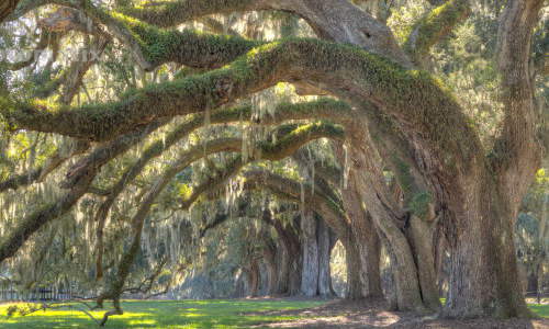 Photo of North Charleston, SC