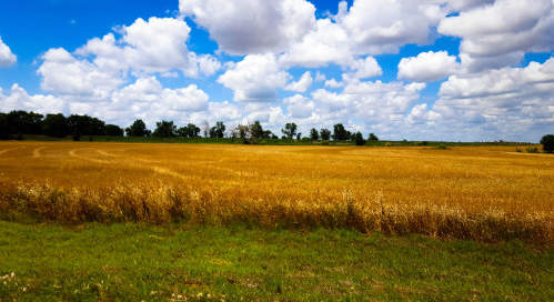 Photo of Spaulding, OK