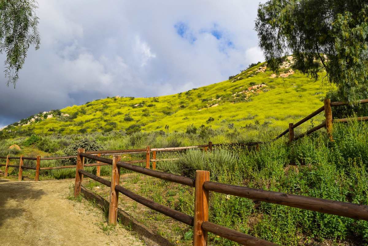 Living In Santee Ca Livability Santee