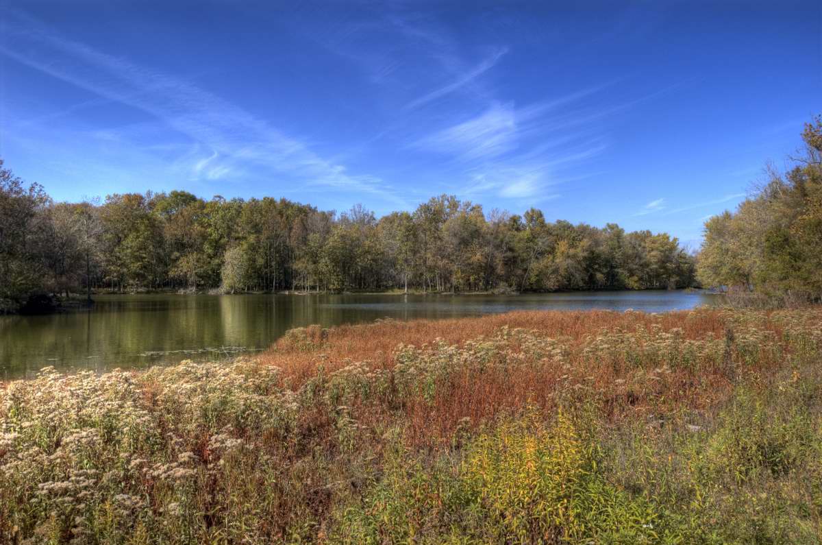 Living In Skokie, IL - Skokie Livability