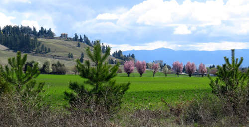 Photo of Spokane Valley, WA