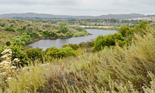 Photo of Tustin, CA