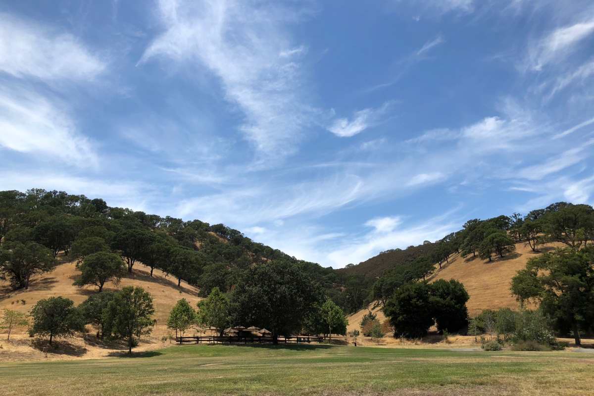 Living In Walnut Creek, CA Walnut Creek Livability