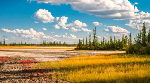 Photo of Wood Buffalo, AB