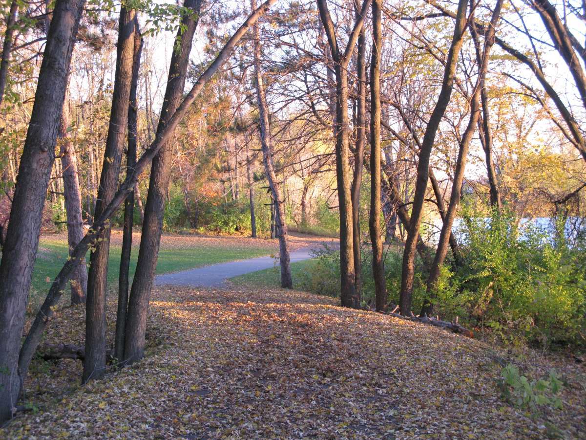 Living In Woodbury, MN - Woodbury Livability