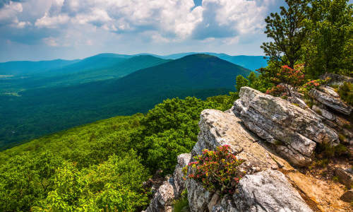 Photo of Nettie, WV