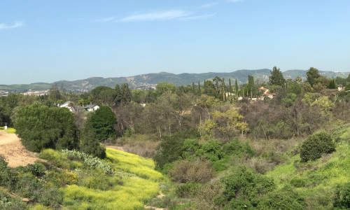 Photo of Yorba Linda, CA