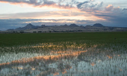 Photo of Yuba City, CA