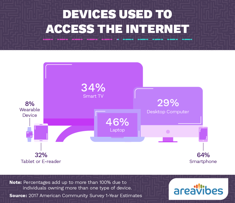 Devices used to access the internet